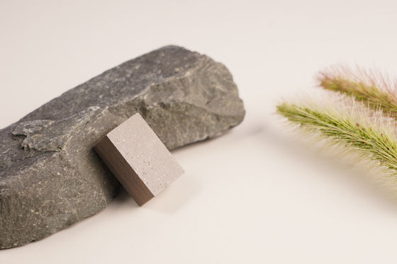 Forma plana de la Indonesia de la piedra arenisca Segmento 24 * 9 * 15 mm de disco único de la piedra arenisca cortador de consejos de la capa de sándwich Segmento