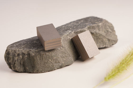 Forma plana de la Indonesia de la piedra arenisca Segmento 24 * 9 * 15 mm de disco único de la piedra arenisca cortador de consejos de la capa de sándwich Segmento